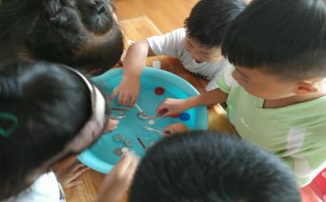 中班科学《沉浮》的教案5篇