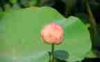 我在中成长400字作文模板7篇