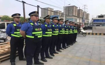 城管工作总结个人范文8篇