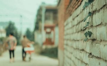 读《城南旧事》读后感5篇