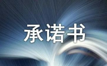 食品质量安全承诺书7篇