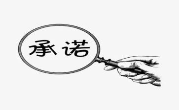 关于安全承诺书的范文8篇