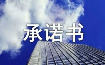 食品质量安全承诺书范文5篇