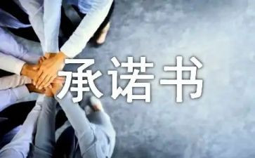 投标服务承诺书参考5篇
