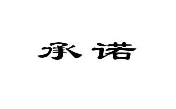市场经营承诺书8篇