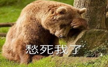 乡愁600字作文7篇