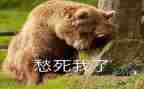 乡愁600字作文7篇