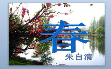 春节的活动心得体会7篇