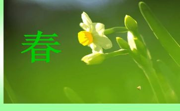 用春节写演讲稿优质8篇