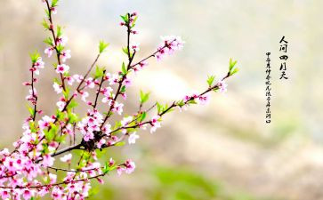 我春节作文300字5篇