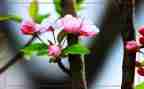 用春节写演讲稿参考7篇