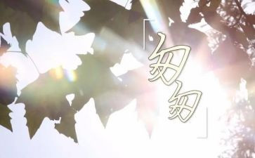 写《匆匆》读后感优秀8篇