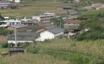 村低保工作工作总结7篇