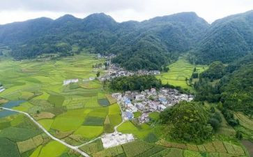 村卫生室个人工作总结模板8篇