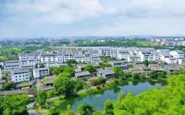优秀村代表发言稿范文8篇