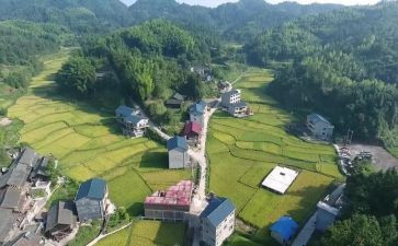 大学生村官月工作计划优秀7篇