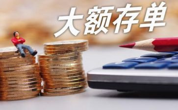 2024年存款保险活动总结8篇
