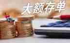 2024年存款保险活动总结8篇