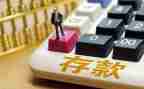2024年存款保险活动总结优质8篇