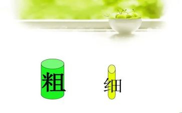 幼儿园中班比较粗细教案5篇