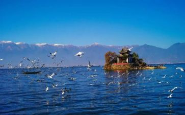 大理洱海旅游心得7篇