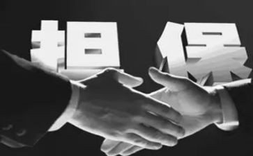 反担保合同模板通用6篇