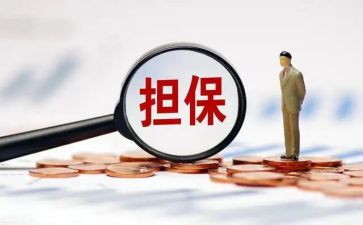担保合同反担保合同模板5篇