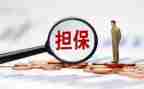担保合同反担保合同模板5篇