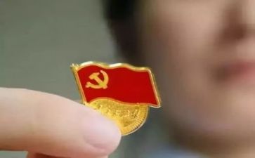 党活动总结模板推荐7篇
