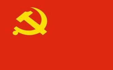 党活动总结模板5篇