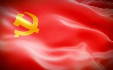 党心得体会300字作文推荐8篇