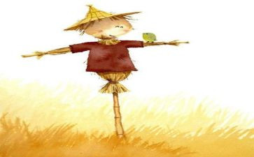 读《稻草人》心得体会通用7篇