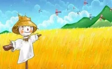 稻草人读书心得优质8篇