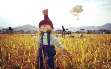 稻稻草人读后感模板6篇