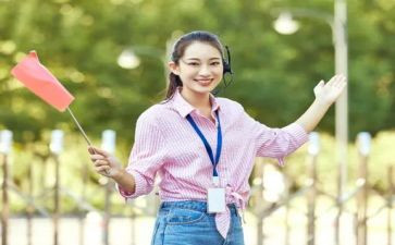 导游年工作总结模板7篇