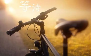 别让爱等待演讲稿6篇