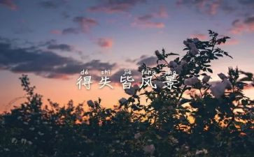 得与失作文800字高中作文通用6篇