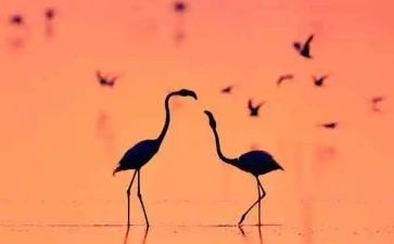 幸福的滋味作文400字5篇