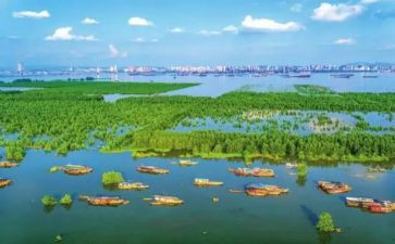 去工地实习心得优秀8篇