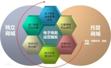 电商年度工作总结5篇