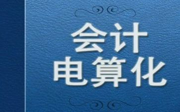 电算化会计个人总结8篇