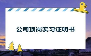 顶岗实习新心得体会最新5篇