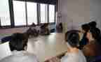 顶岗实习心得体会范文参考5篇