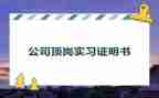 顶岗实习新心得体会最新5篇