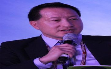 公司董事年度述职报告7篇
