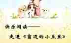 豆豆小班教案7篇