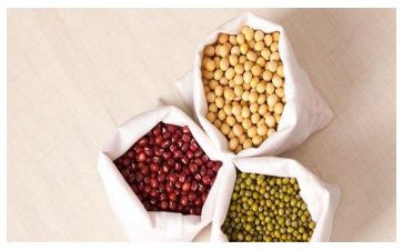 买豆子作文参考6篇