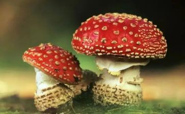 听禁毒讲座心得体会8篇