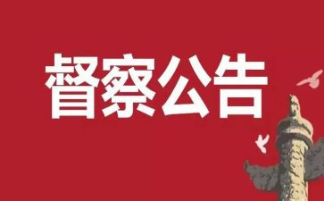 督查自查报告8篇