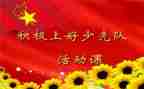 少先队课活动总结最新5篇